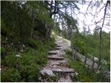 Najberž - Wackendorfer Spitze